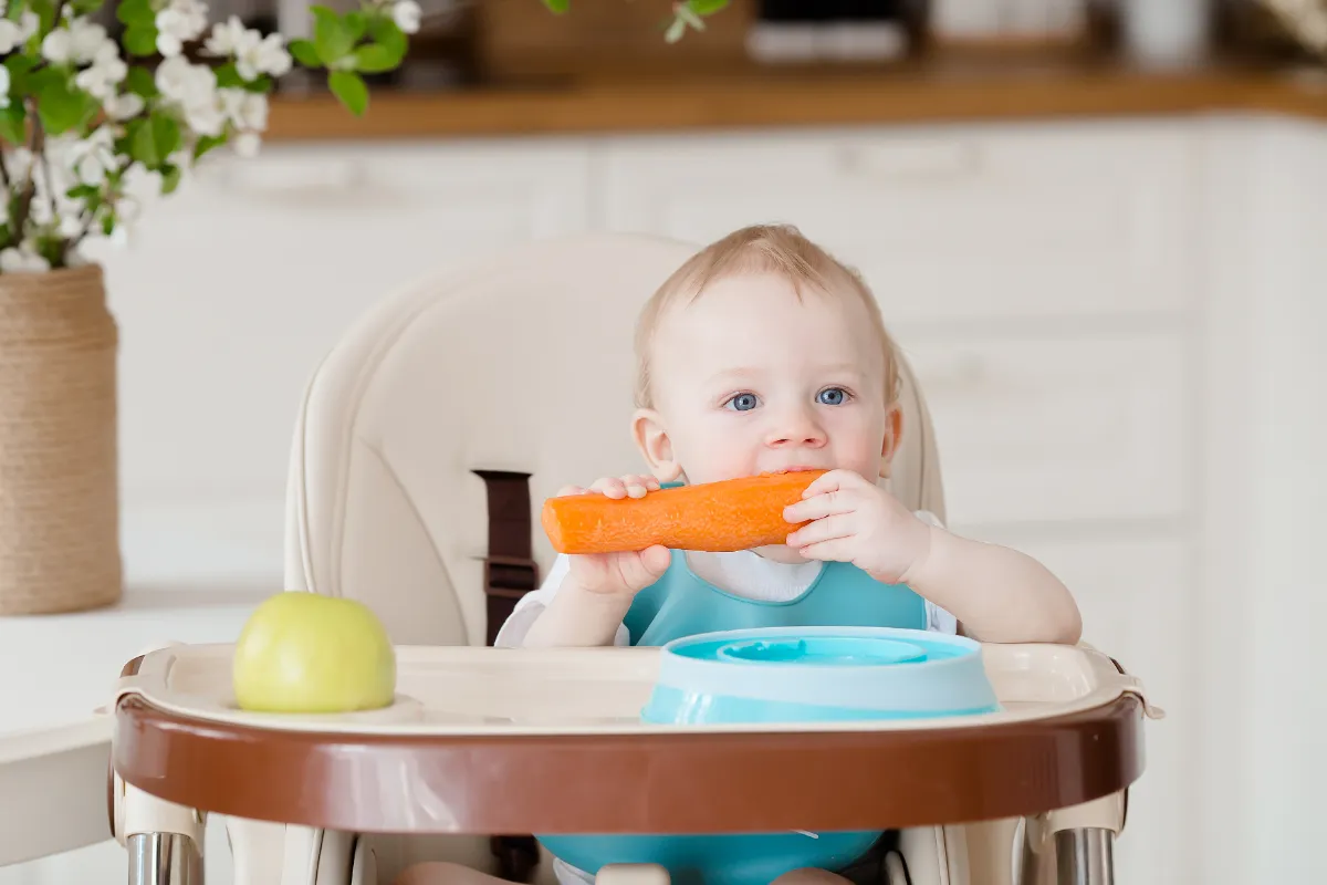 Test von umkehrbaren Kinderwagen: Vor- und Nachteile.